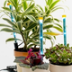 Illustration for article titled How To Keep Plants Alive Using LED Light Spikes